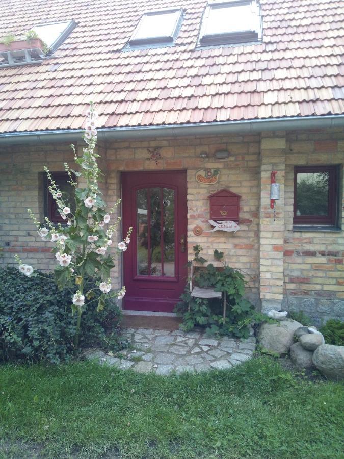 Hofboddenblick Apartamento Kuckenshagen Exterior foto