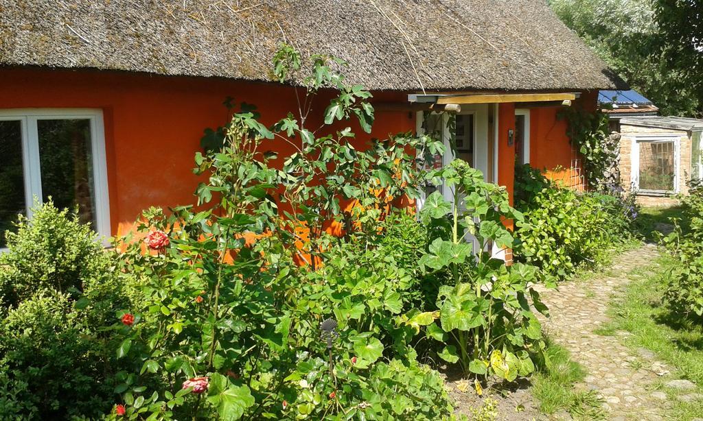 Hofboddenblick Apartamento Kuckenshagen Exterior foto
